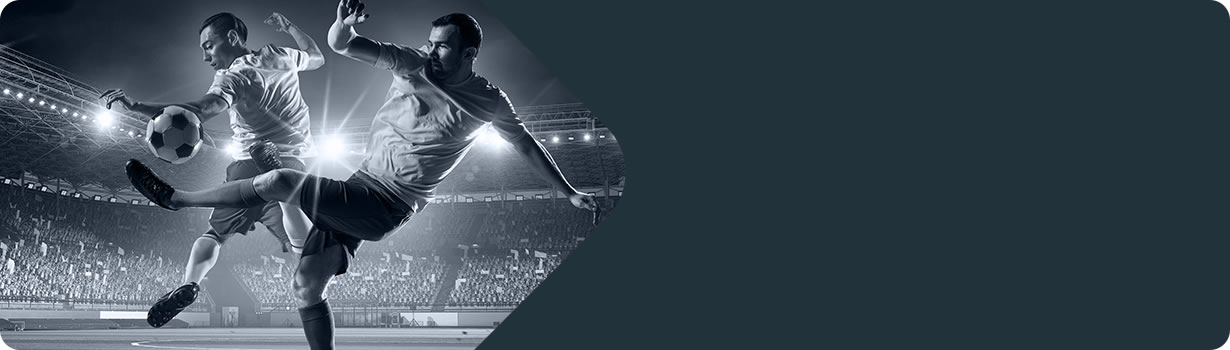 print sudoku puzzles free
