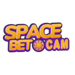 how to do sudoku video
